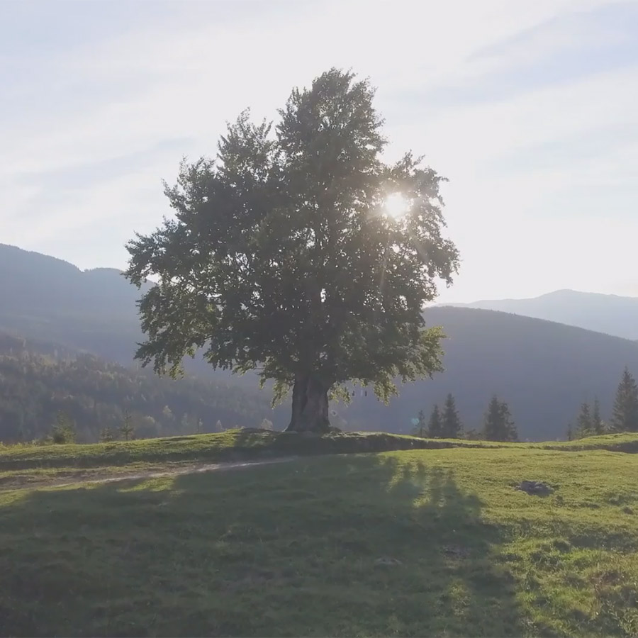 Screenshot 2023-10-03 234401